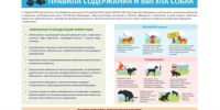 Памятка о правилах содержания и выгула домашних животных - Пролетарский район