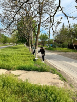 В Пролетарске продолжаются субботники