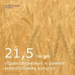 В Пролетарском районе ведется уборка ранних зерновых и зернобобовых культур