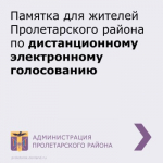 Механизм дистанционного электронного голосования