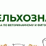 Информация о сохранении в осенний период 2025 года высокого уровня рисков заноса и распространения возбудителя особо опасной болезни свиней - Пролетарский район