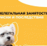 Что такое нелегальная занятость, как избежать её последствий - Пролетарский район