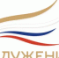 Жителей Пролетарского района приглашают поддержать проект из Ростовской области в муниципальной премии «Служение» - Пролетарский район