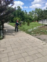 В Пролетарске продолжаются работы по благоустройству города